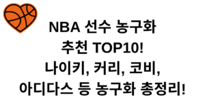 NBA 선수 농구화 추천 TOP10! 나이키, 커리, 코비, 아디다스 등 농구화 총정리!