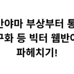 웸반야마 부상부터 통계, 농구화 등 빅터 웸반야마 파헤치기!