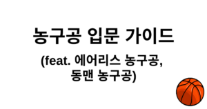 농구공 입문 가이드 (feat. 에어리스 농구공, 동맨 농구공)